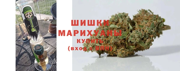 молекула духа Белоозёрский