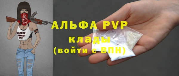 молекула духа Белоозёрский