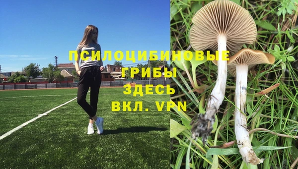 молекула духа Белоозёрский