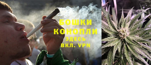 ешки Белокуриха