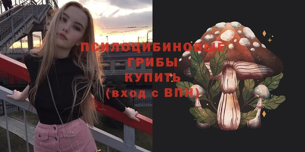 молекула духа Белоозёрский